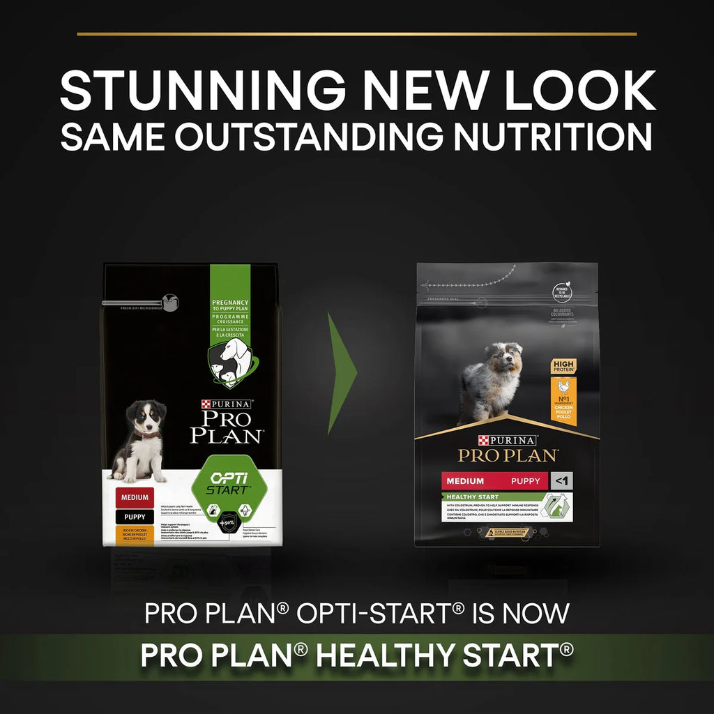 طعام جاف للجراء من بورينا برو بلان متوسط ​​الحجم مع أوبتيستارت غني بالدجاج