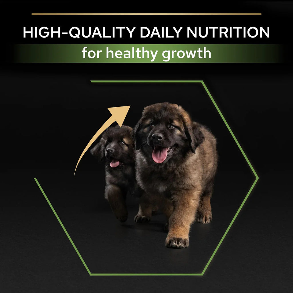 طعام جاف للجراء PURINA® PRO PLAN® كبير وقوي مع OPTISTART® غني بالدجاج