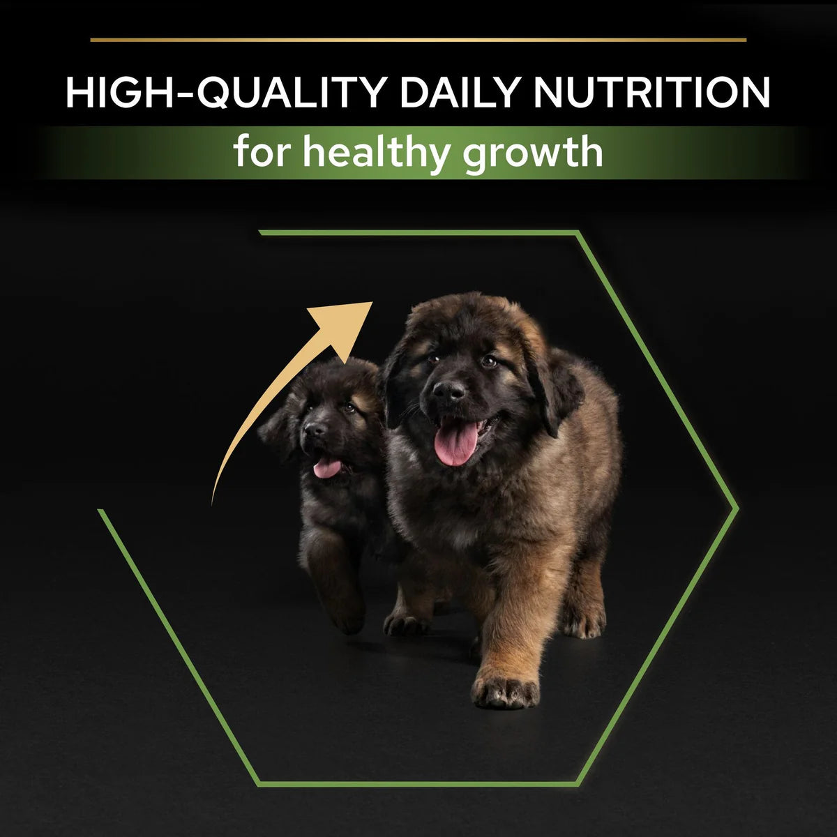 طعام جاف للجراء PURINA® PRO PLAN® كبير وقوي مع OPTISTART® غني بالدجاج