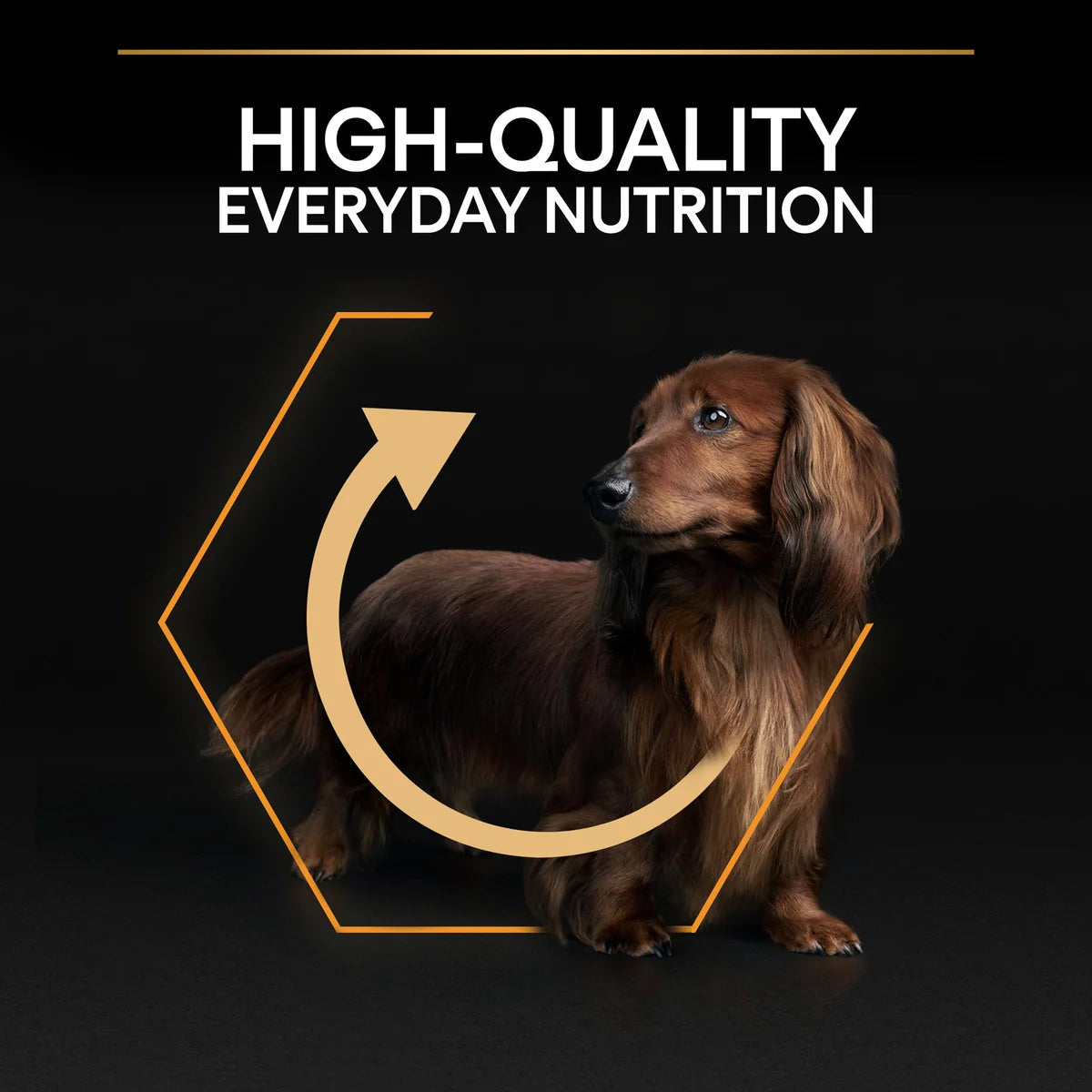 طعام جاف للكلاب PURINA® PRO PLAN® Small &amp; Mini Adult مع OPTIBALANCE®، غني بالدجاج - 3 كجم 