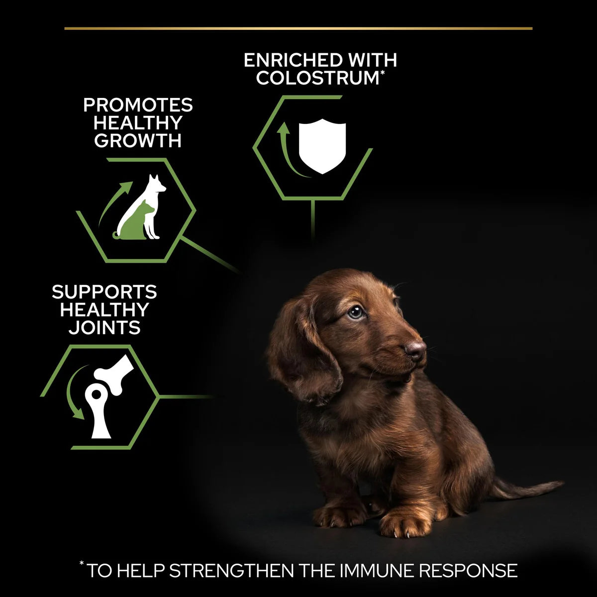 طعام جاف للكلاب PURINA® Pro Plan® Small &amp; Mini Puppy مع OPTISTART®، غني بالدجاج - 3 كجم