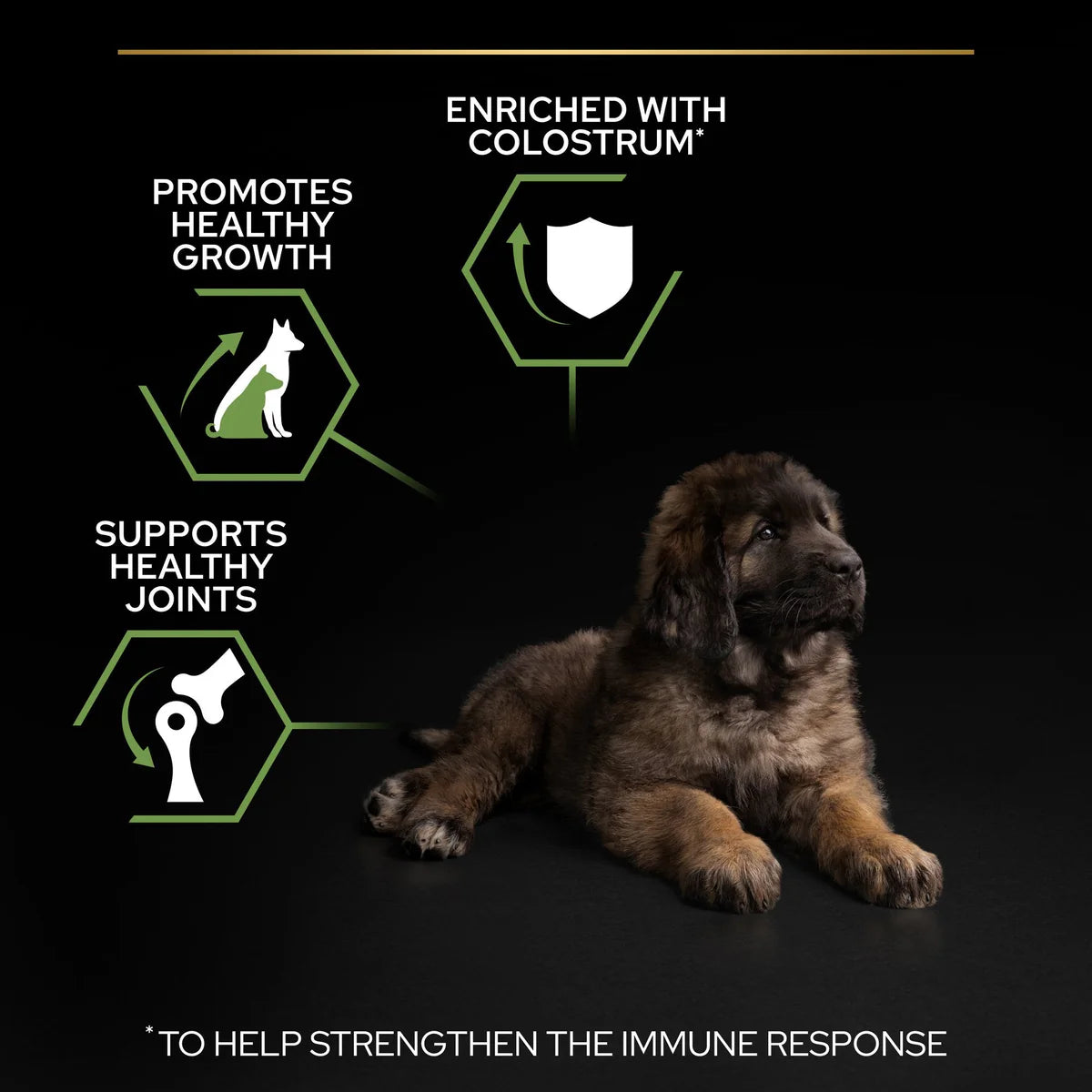 طعام جاف للجراء PURINA® PRO PLAN® كبير وقوي مع OPTISTART® غني بالدجاج