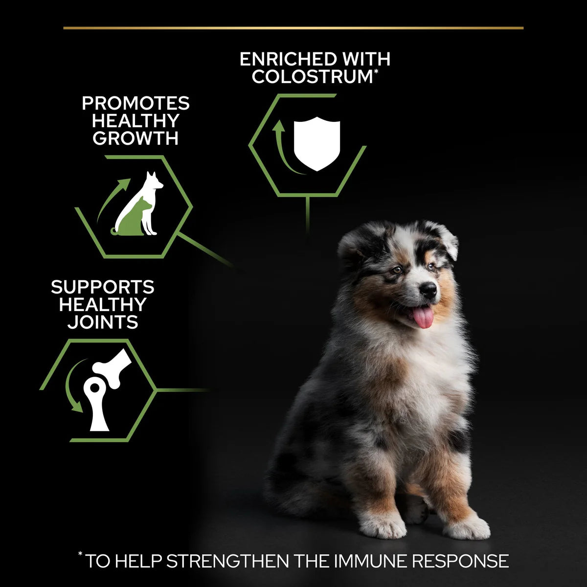 طعام جاف للجراء من بورينا برو بلان متوسط ​​الحجم مع أوبتيستارت غني بالدجاج