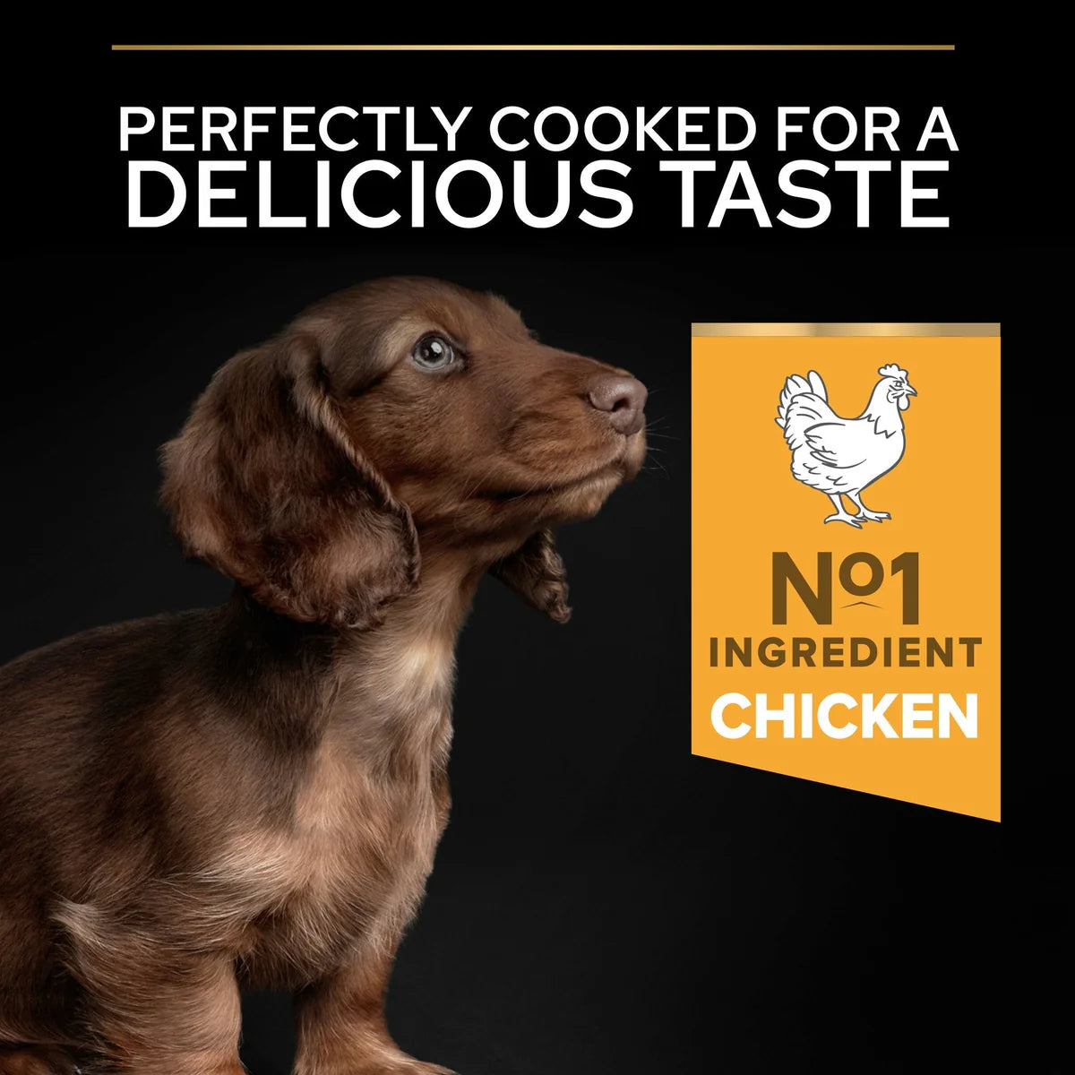 طعام جاف للكلاب PURINA® Pro Plan® Small &amp; Mini Puppy مع OPTISTART®، غني بالدجاج - 3 كجم