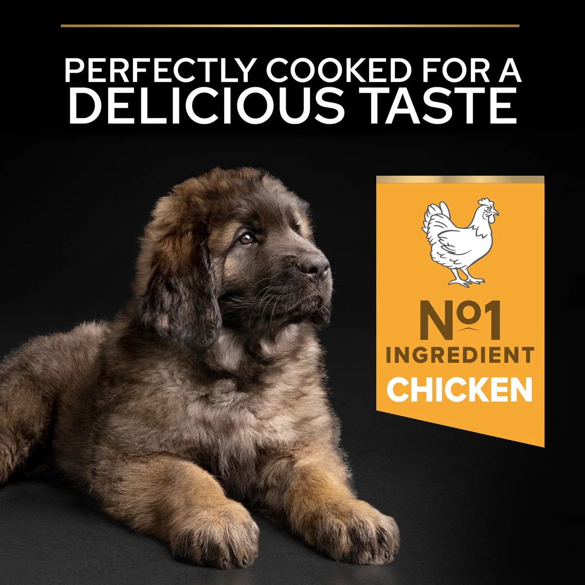 طعام جاف للجراء PURINA® PRO PLAN® كبير وقوي مع OPTISTART® غني بالدجاج