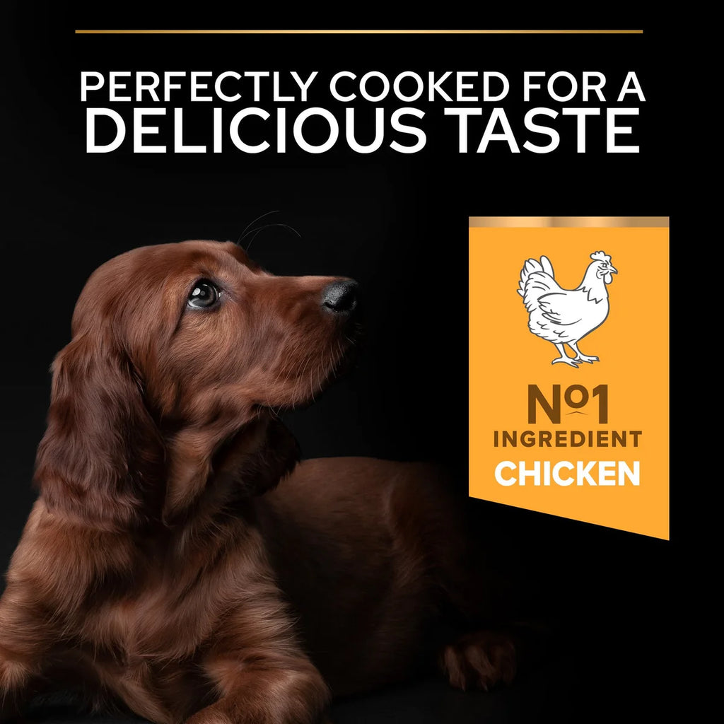 طعام الكلاب الجاف PURINA® PRO PLAN® Large Puppy Athletic مع OPTISTART® الغني بالدجاج