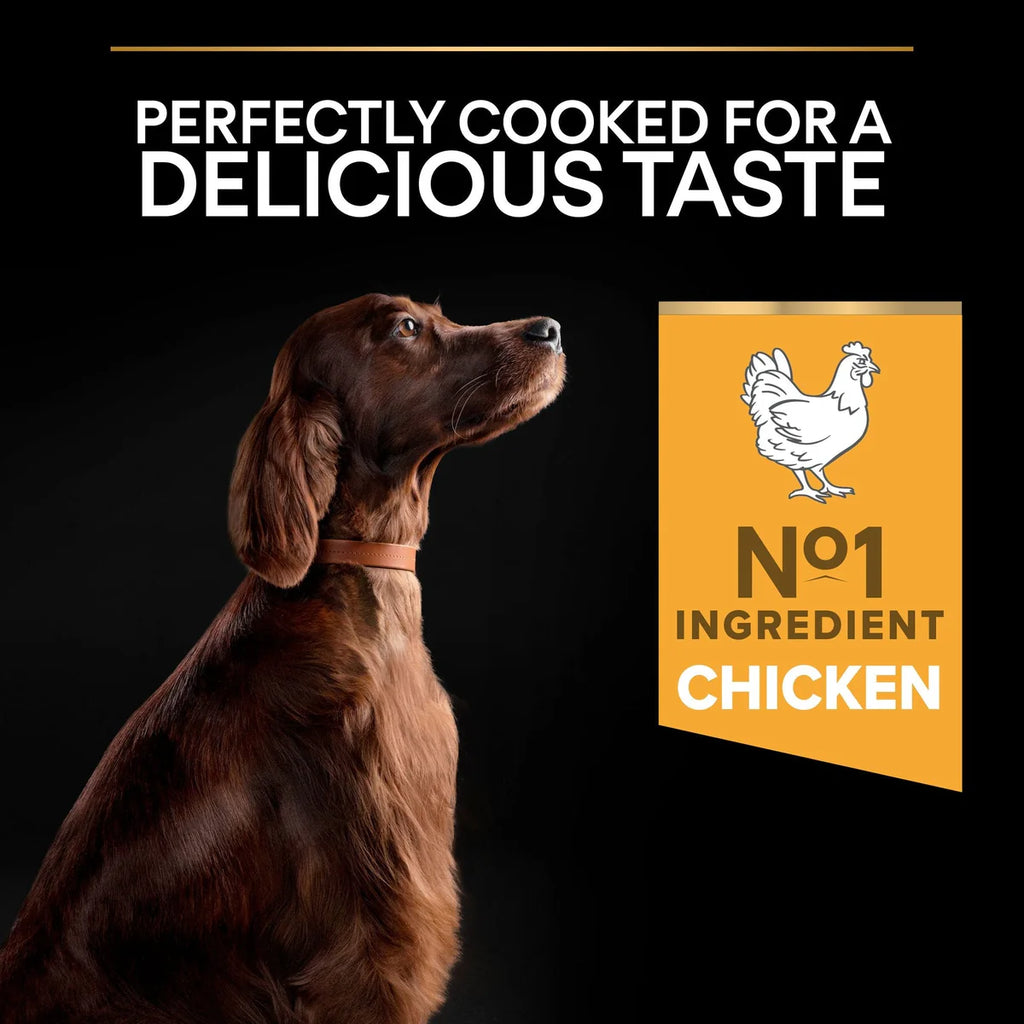 طعام الكلاب الجاف PURINA® PRO PLAN® Large Athletic OPTIBALANCE® غني بالدجاج - 14 كجم