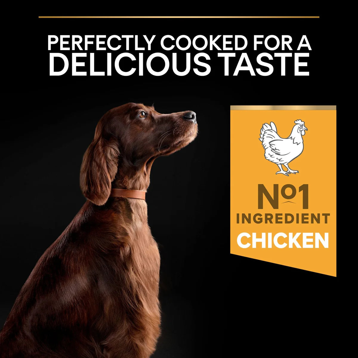 طعام الكلاب الجاف PURINA® PRO PLAN® Large Athletic OPTIBALANCE® غني بالدجاج - 14 كجم