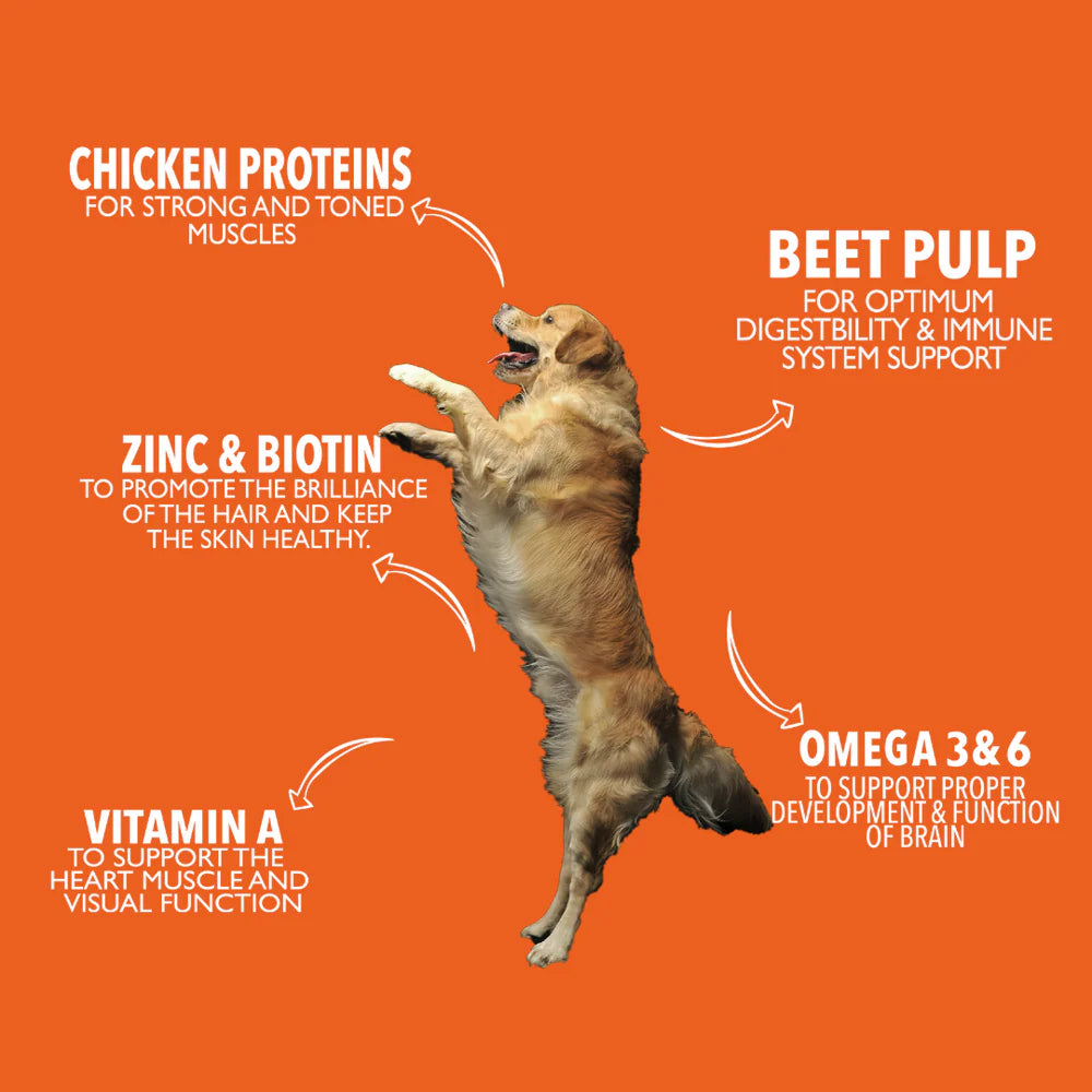 Legends Wholesome Chicken Feed For Adult Dogs