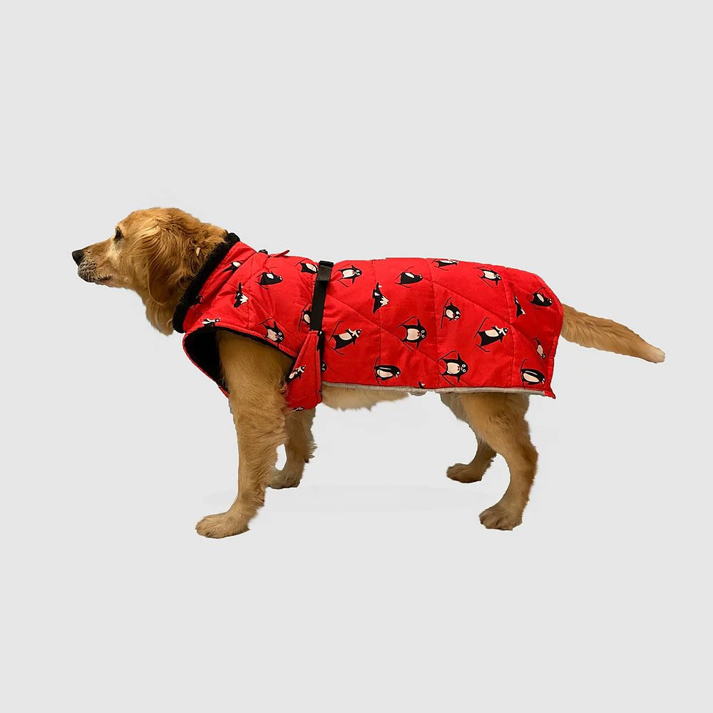 معطف بنقشة البطريق