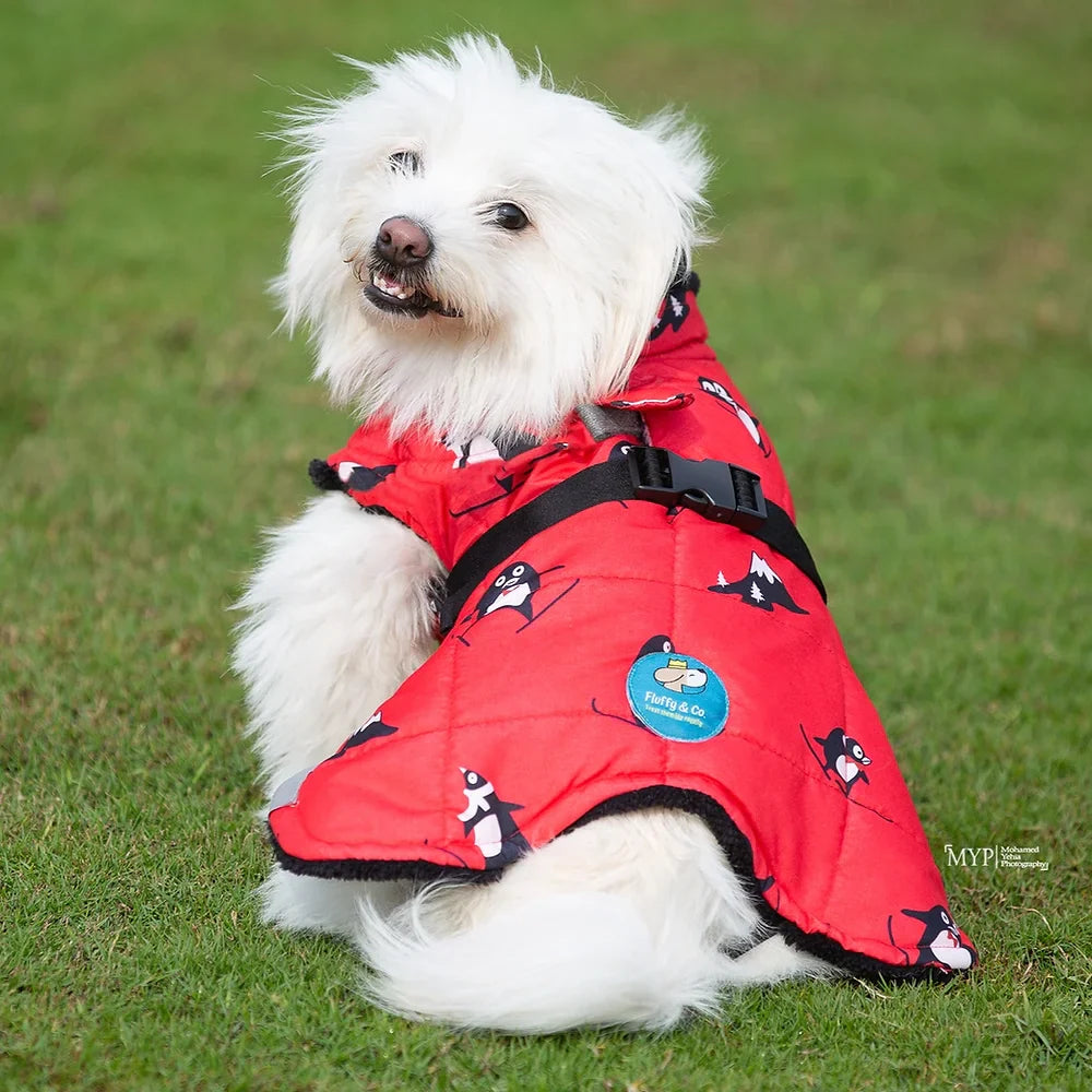 معطف بنقشة البطريق