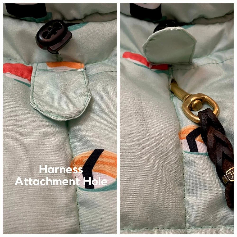 معطف بنمط السوشي