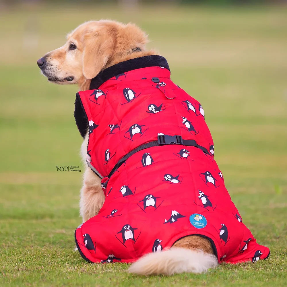 معطف بنقشة البطريق