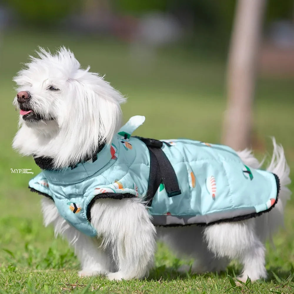 معطف بنمط السوشي