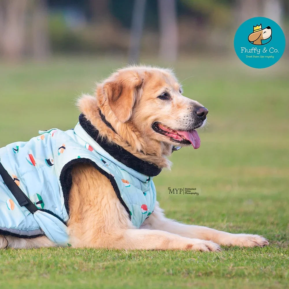 معطف بنمط السوشي