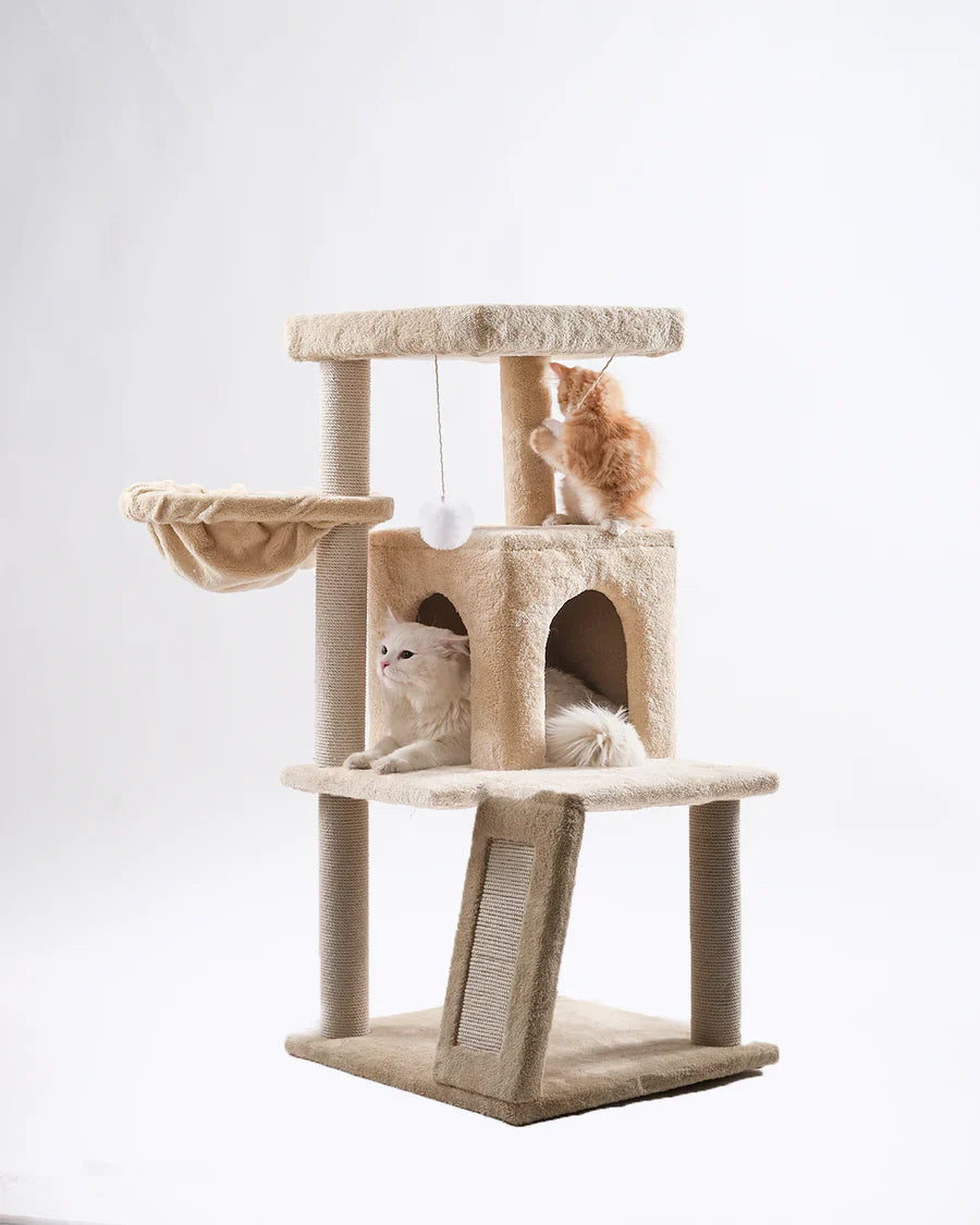 Cat House scratching 10070