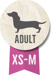 كلاب بيلكاندو بيس لاين إكسبلورر البالغة