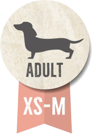 كلاب بيلكاندو بيس لاين جوكر البالغة