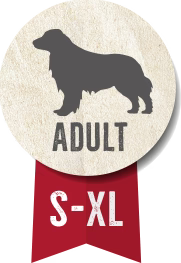 كلاب بيلكاندو بيس لاين رينجر البالغة