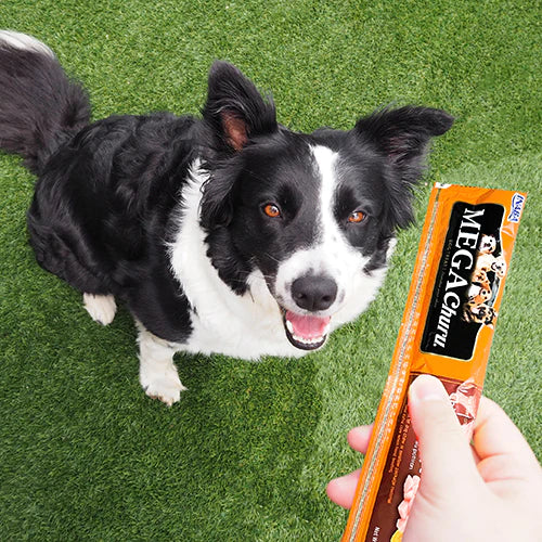 وصفة تونة ميجا تشورو 