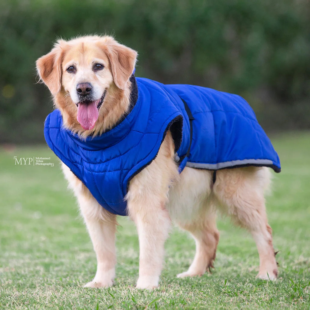 معطف أزرق مقاوم للماء