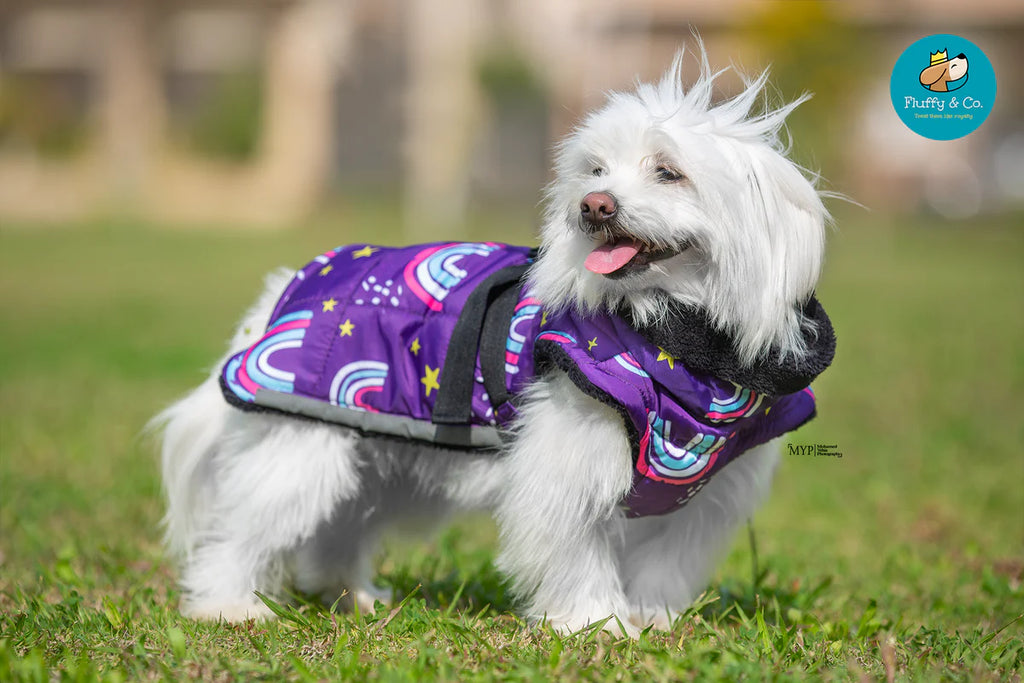 معطف قوس قزح مقاوم للماء