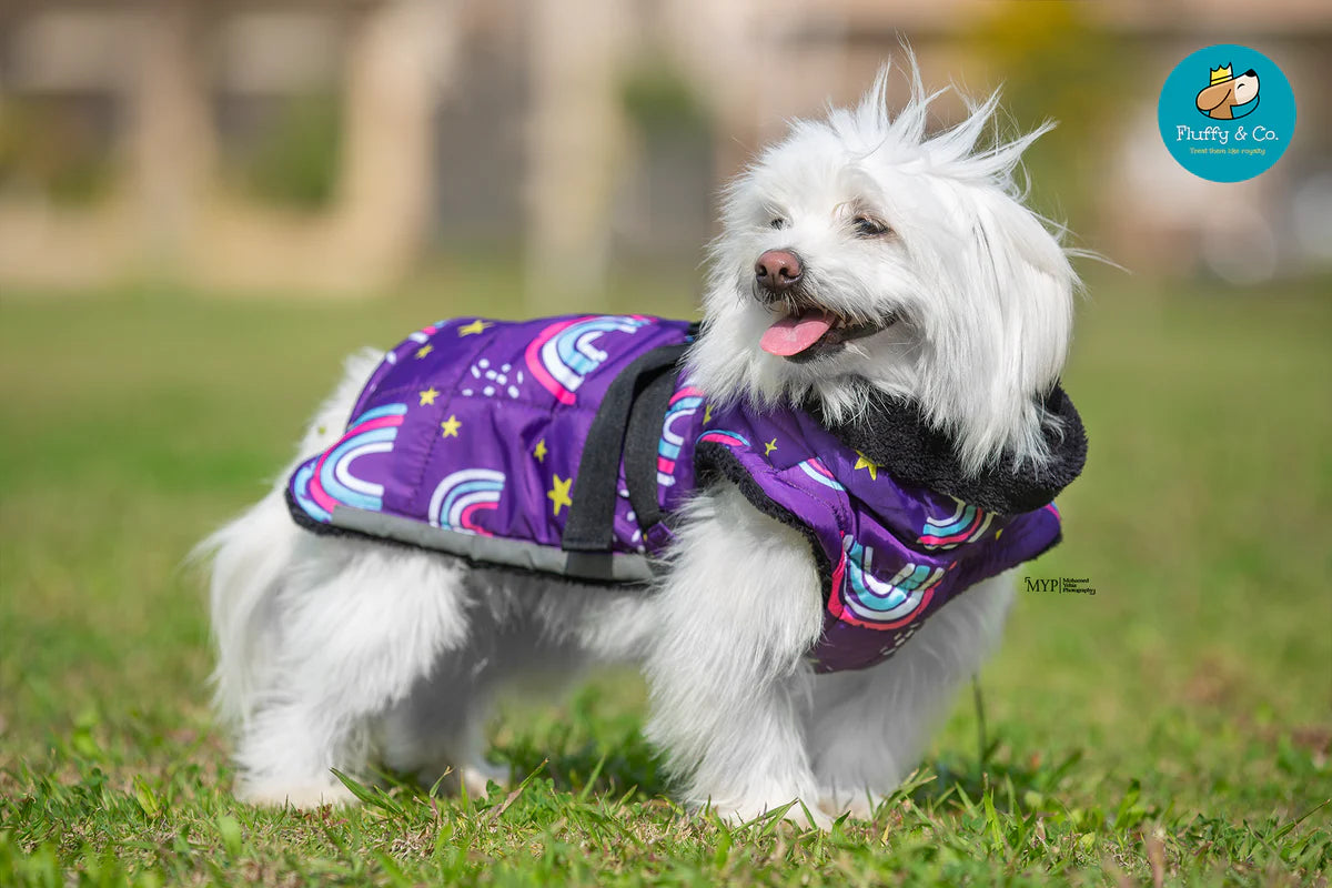 معطف قوس قزح مقاوم للماء