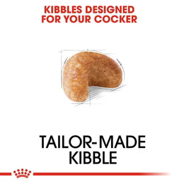 رويال كانين كوكر أدلت (3 كجم) - طعام جاف للكلاب الكوكر البالغة فوق 12 شهرًا