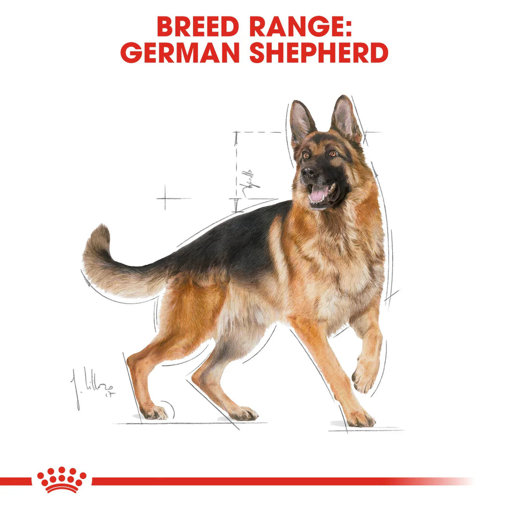 Royal Canin German Shepherd Adult - Dry food for adult dogs over 15 months