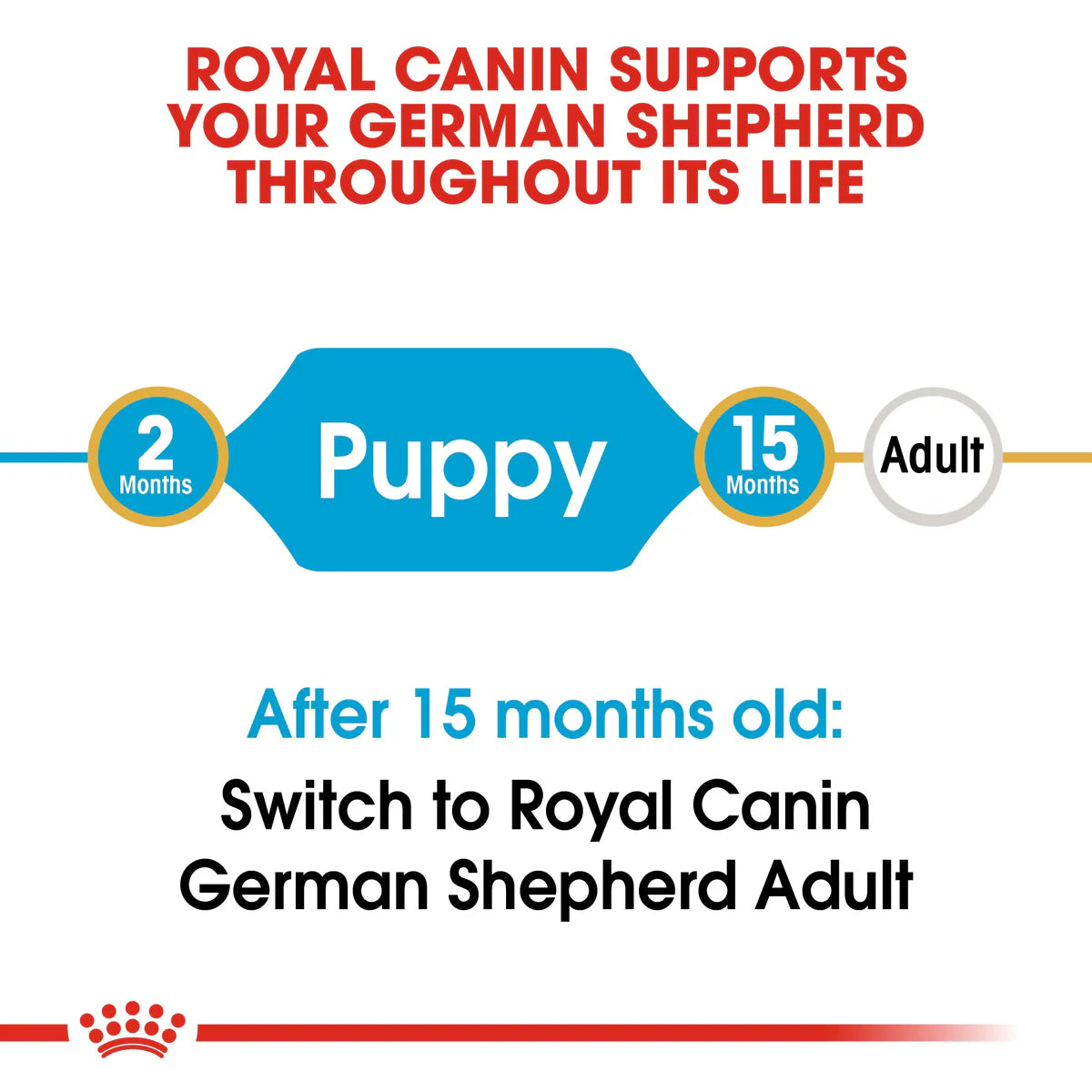 Royal Canin German Shepherd Puppy (3 KG) - Dry food for puppies up to 15 months