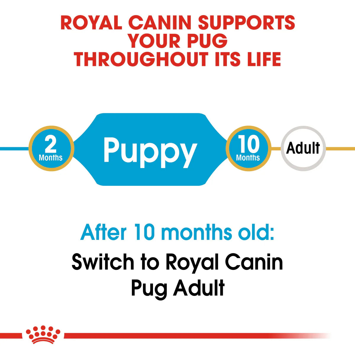 Royal Canin Pug Puppy (1.5kg) - Dry food for puppies 10 months