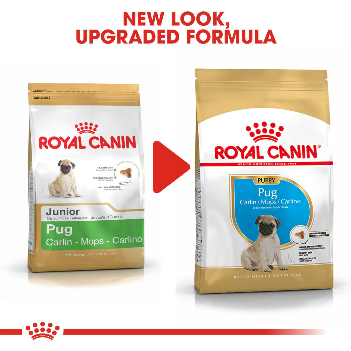 Royal Canin Pug Puppy (1.5kg) - Dry food for puppies 10 months