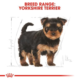 Royal Canin Yorkshire Terrier Puppy (1.5 KG) - Dry food for puppies up to 10 months old