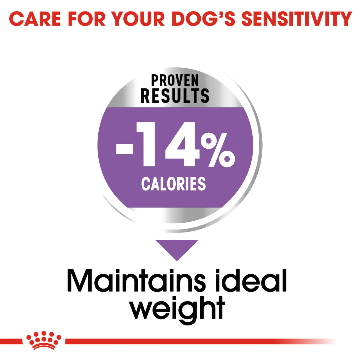 Royal Canin Mini Sterilised (3 KG) - Dry food for small dogs up to 10 KG. Over 10 months