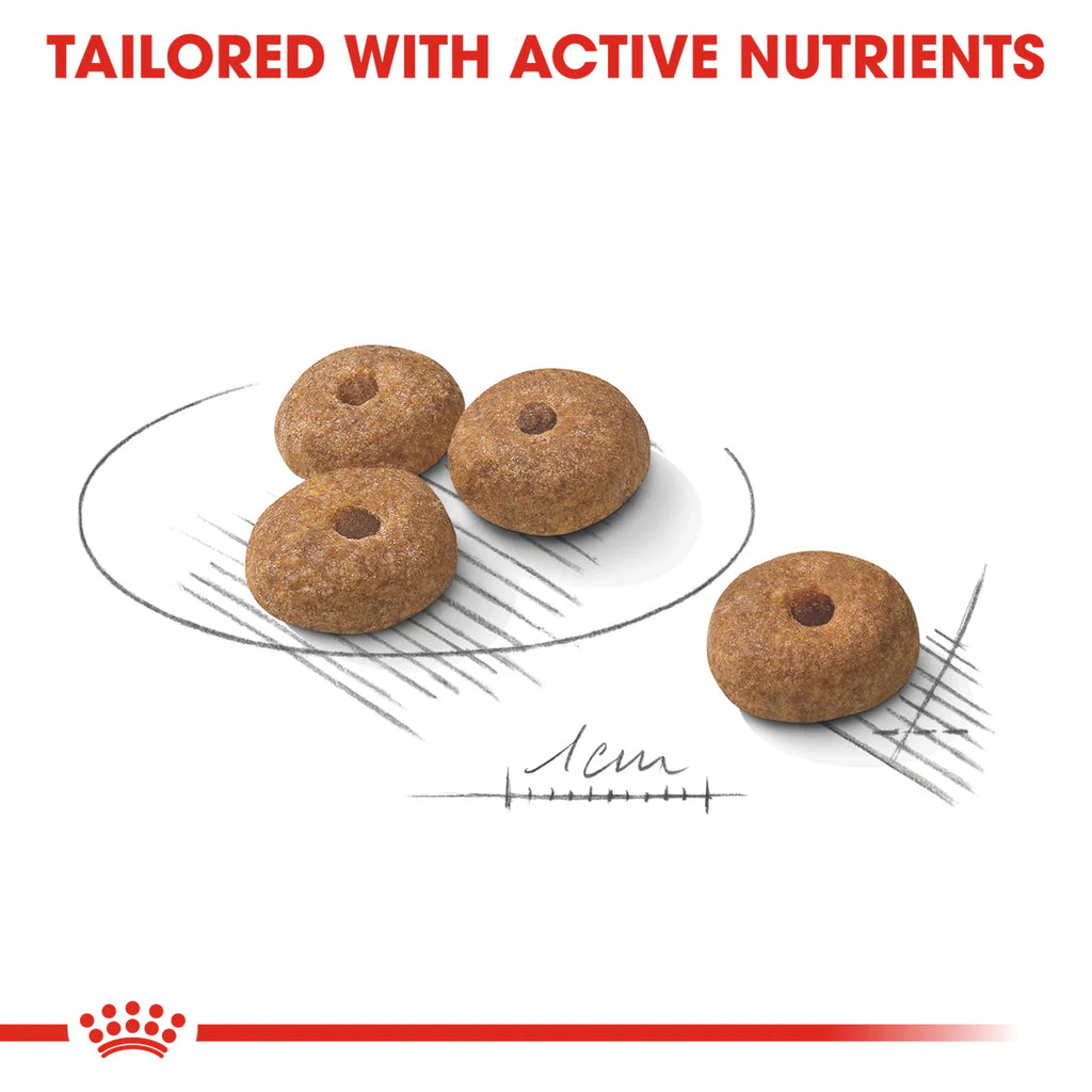 رويال كانين ميني ستريلايزد (٣ كجم) - طعام جاف للكلاب الصغيرة حتى وزن ١٠ كجم، فوق ١٠ أشهر