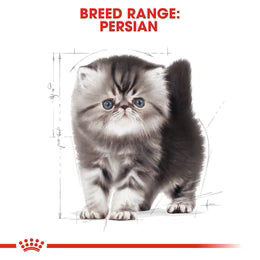 Royal Canin Persian Kitten - Up to 12 months