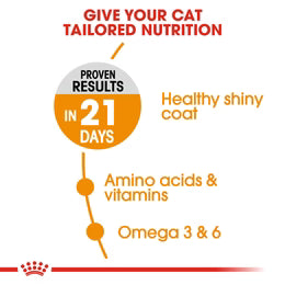 Royal Canin Hair & Skin Care Dry food for adult cats