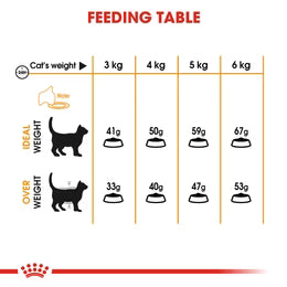 Royal Canin Hair & Skin Care Dry food for adult cats