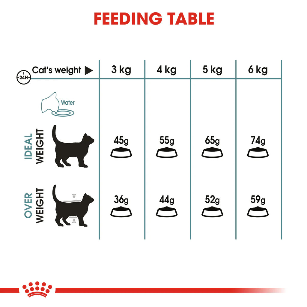 Royal Canin Hairball care - Dry food for adult cats - helps reduce hairball formation