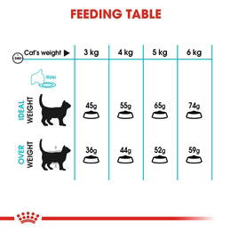 Royal Canin Urinary care - Dry food for adult cats - Helps maintain urinary tract health