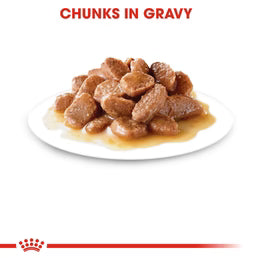 Royal Canin Ultra Light in Gravy (85gm\ Pouch) - Wet food for adult cats - helps limit weight gain