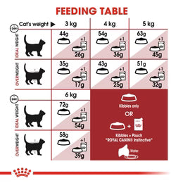 Royal Canin Fit 32 Dry food for cats