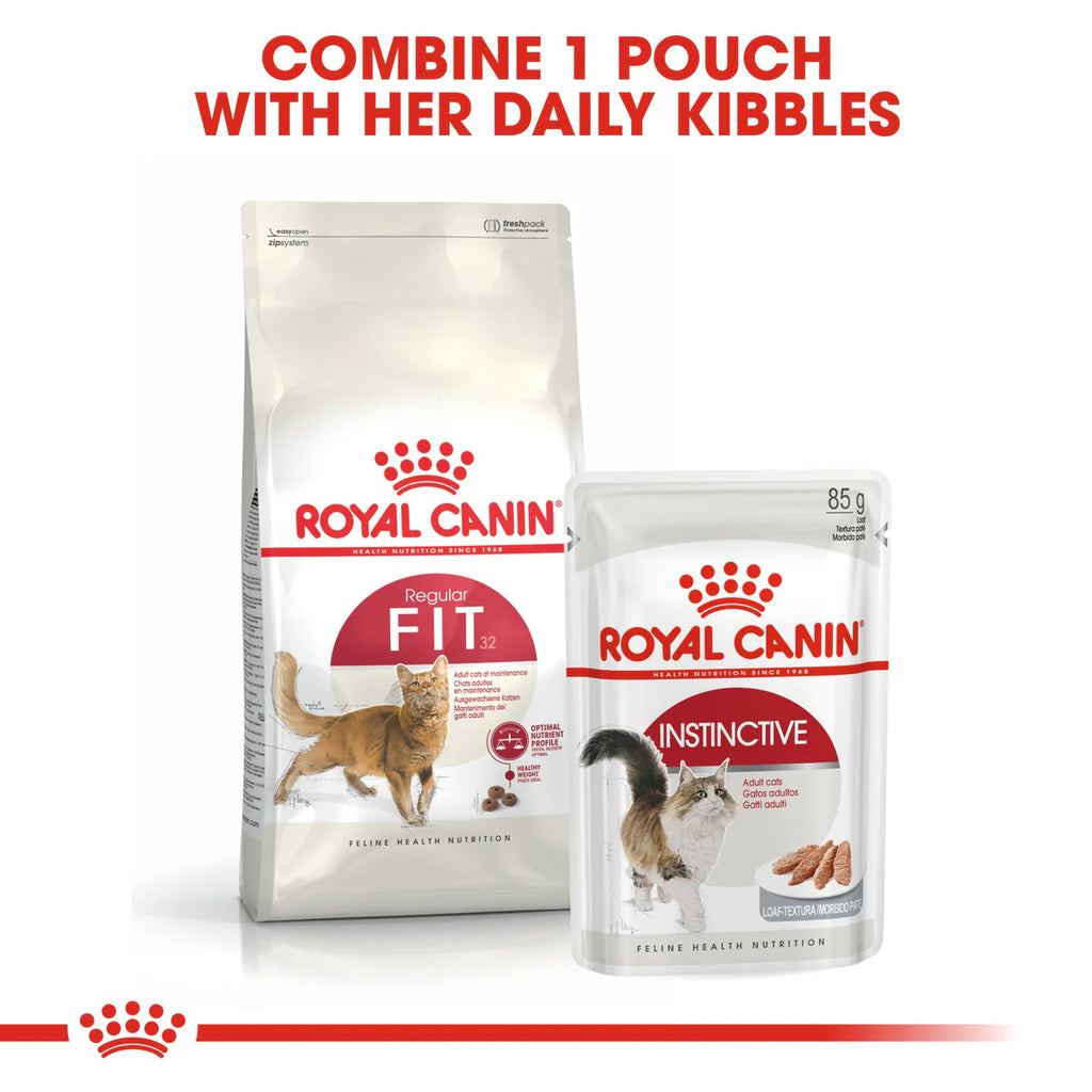 Royal Canin Fit 32 Dry food for cats