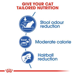 Royal Canin Indoor27 - Dry food for indoor adult cats