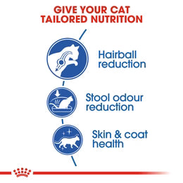 Royal Canin Indoor Long Hair - Dry Food for Indoor long-haired cats