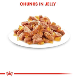 Royal Canin Kitten In Jelly (85gm\ Pouch) - wet food for kittens up to 12 months