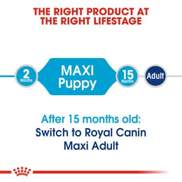 Royal Canin Maxi Puppy - Dry food for large dogs - Adult weight from 26 to 44 KG. From 2 to 15 months