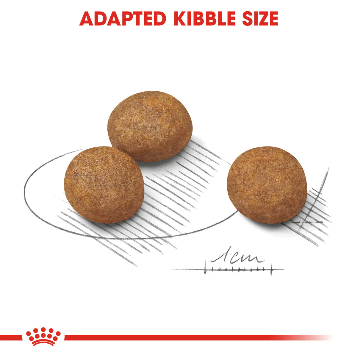 Royal Canin Maxi Puppy - Dry food for large dogs - Adult weight from 26 to 44 KG. From 2 to 15 months