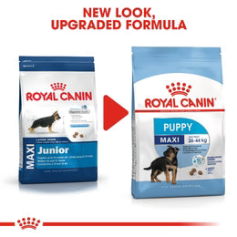 Royal Canin Maxi Puppy - Dry food for large dogs - Adult weight from 26 to 44 KG. From 2 to 15 months