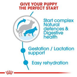 Royal Canin Maxi Starter Mother and Babydog - Dry food for large puppies - Adult weight between 26 and 44 KG. Mother during gestation and lactation - Weaning puppies up to 2 months